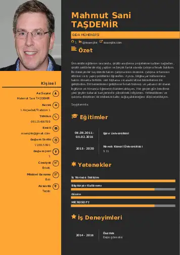 Gıda Mühendisi CV Örnekleri cv indir